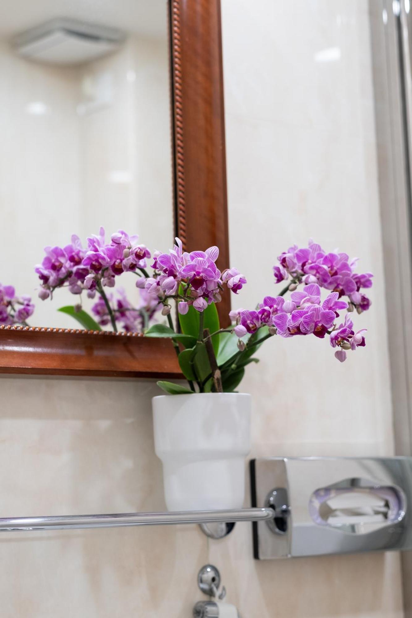 Palazzo Schiavoni Residenza D'epoca & Suite-apartments 3* Venise